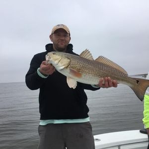 Meet your Posher, Donard